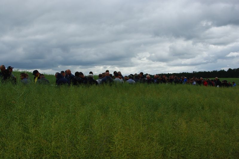 DNI POLA AGRO – BIZNES 2015