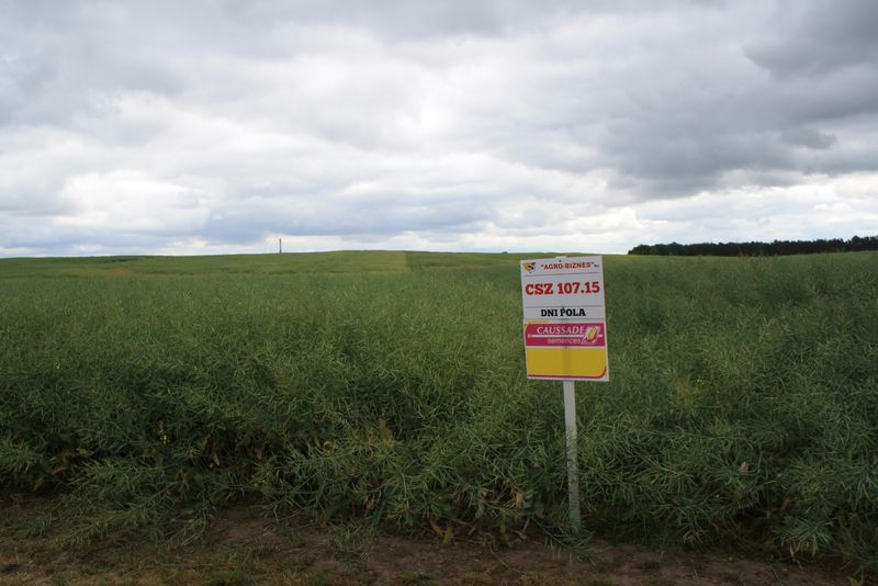 DNI POLA AGRO – BIZNES 2015
