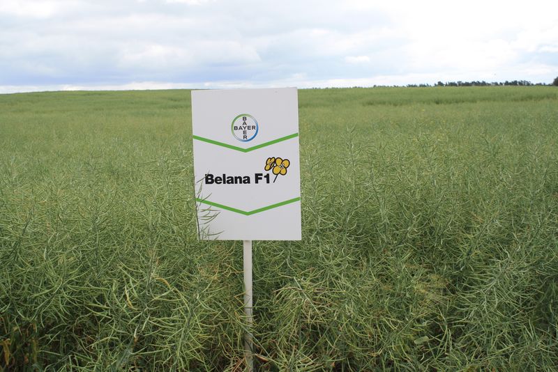 DNI POLA AGRO – BIZNES 2015