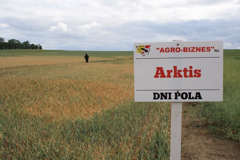 DNI POLA AGRO – BIZNES 2015