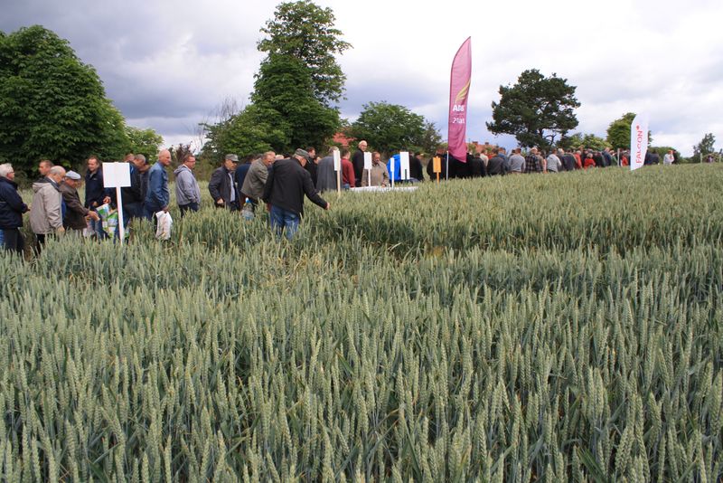 DNI POLA AGRO – BIZNES 2015